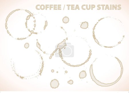 Illustration for Coffee or tea cup stains - Royalty Free Image