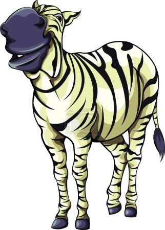 Illustration for Illustration of the Zebra - Royalty Free Image