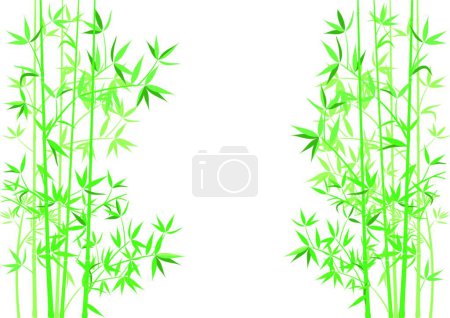 Illustration for Illustration of the bamboo branches - Royalty Free Image