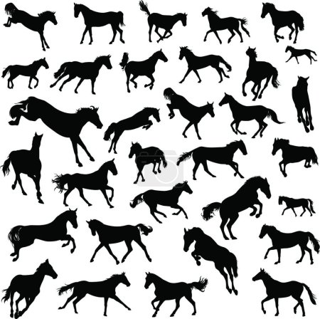 Illustration for Set of horses silhouettes vector illustration - Royalty Free Image