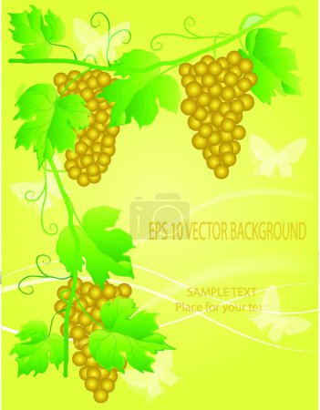 Illustration for Illustration of the decorative grape - Royalty Free Image