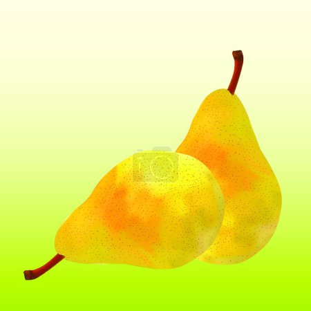 Illustration for Illustration of the two  pears - Royalty Free Image