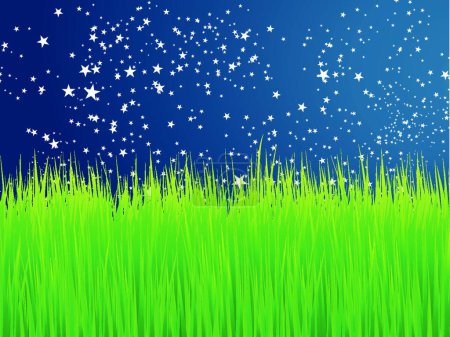 Illustration for Green grass vector background - Royalty Free Image