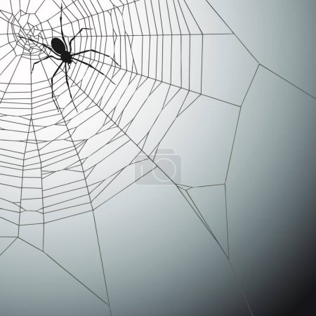 Ilustración de Spider, ilustración vectorial gráfica - Imagen libre de derechos