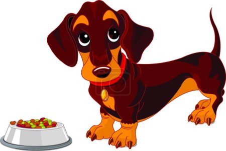 Téléchargez les illustrations : Illustration vectorielle chien Dachshund - en licence libre de droit