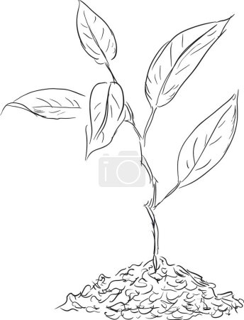Illustration for Figure twigs sprout modern vector illustration - Royalty Free Image