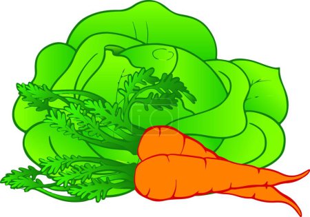 Illustration for Fresh vegetables modern vector illustration - Royalty Free Image