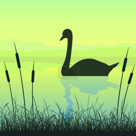 Illustration for Swan on Lake modern vector illustration - Royalty Free Image