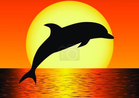 Téléchargez les illustrations : "Illustration vectorielle de la silhouette de dauphin - en licence libre de droit