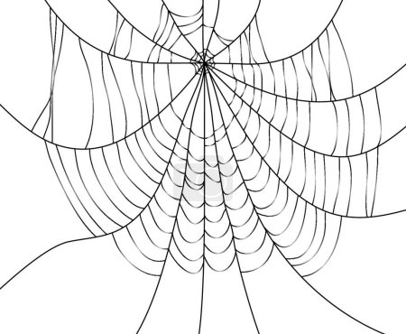 Téléchargez les illustrations : Illustration vectorielle toile d'araignée - en licence libre de droit