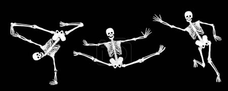 Téléchargez les illustrations : Squelettes actifs, illustration vectorielle - en licence libre de droit