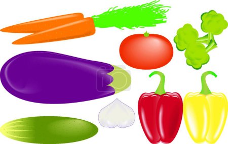 Illustration for Vegetables vector set modern vector illustration - Royalty Free Image