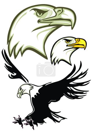 Ilustración de Cabeza de águila, águila, ilustración vectorial gráfica - Imagen libre de derechos