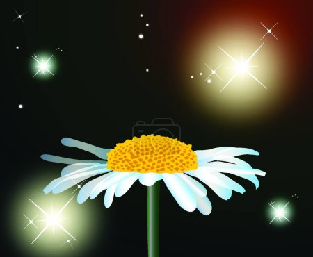Téléchargez les illustrations : "Fleur Camomille "illustration vectorielle colorée - en licence libre de droit