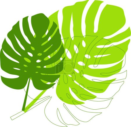 Illustration for Philodendron leaves,, graphic vector illustration - Royalty Free Image