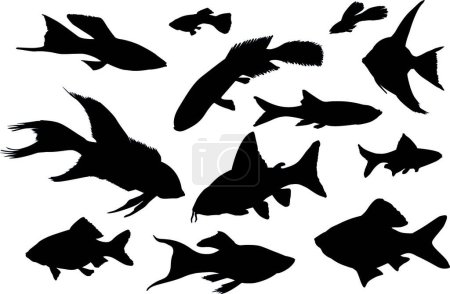 Téléchargez les illustrations : Collection de poissons illustration vectorielle moderne - en licence libre de droit
