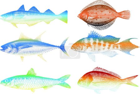 Illustration for Sea fishes modern vector illustration - Royalty Free Image