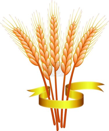 Illustration for Bunch of vector wheat ears - Royalty Free Image
