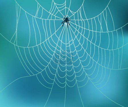 Illustration for Vector spider and web illustration - Royalty Free Image