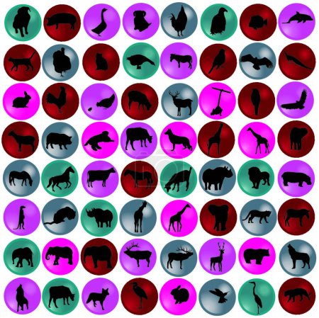 Illustration for Illustration of the animal silhouettes - Royalty Free Image
