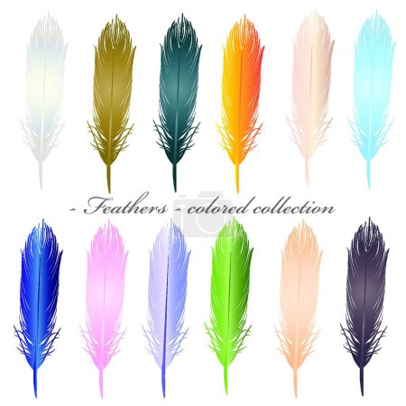 Illustration for Feathers colored collection on white - Royalty Free Image