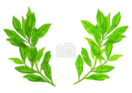 Illustration for Leaves frame vector illustration - Royalty Free Image