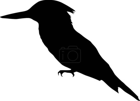 Illustration for Silhouette of kingfisher vector illustration - Royalty Free Image