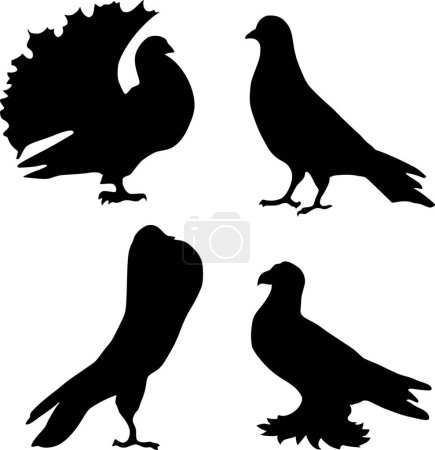 Illustration for Silhouettes of doves vector illustrations - Royalty Free Image