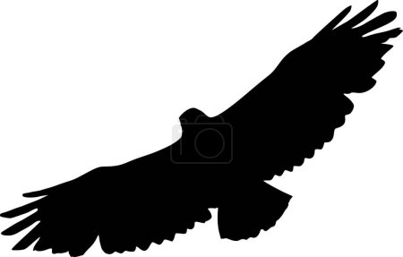 Téléchargez les illustrations : Illustration vectorielle silhouette buzzard - en licence libre de droit
