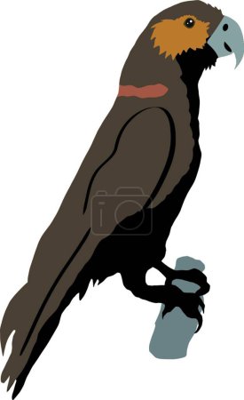 Illustration for Illustration of the parrot - Royalty Free Image