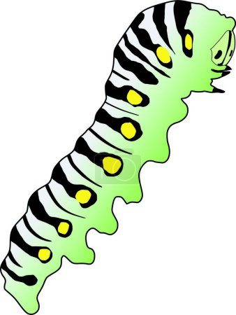 Illustration for Illustration of the caterpillar - Royalty Free Image