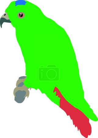 Illustration for Illustration of the parrot - Royalty Free Image
