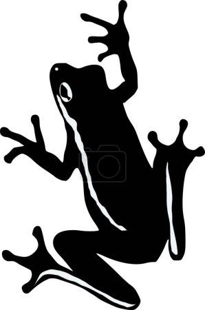 Téléchargez les illustrations : Illustration de la grenouille - en licence libre de droit