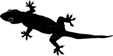 Illustration for Illustration of the gecko - Royalty Free Image