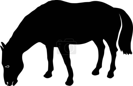 Illustration for Illustration of the  horse - Royalty Free Image