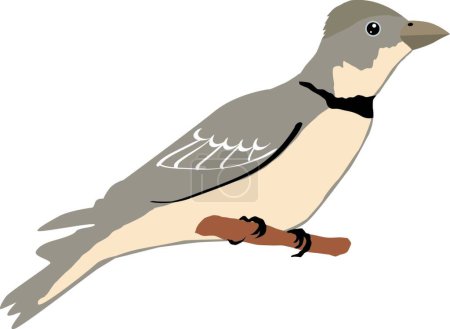 Illustration for Illustration of the lark - Royalty Free Image