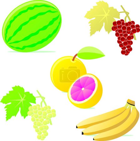 Téléchargez les illustrations : Illustration des fruits isolés - en licence libre de droit