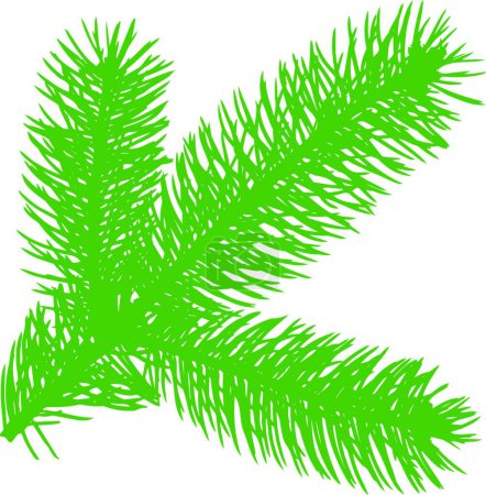 Illustration for Illustration of the Firtree green element - Royalty Free Image