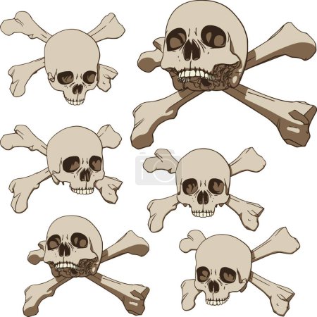 Ilustración de Cinco cráneos, ilustración vectorial - Imagen libre de derechos
