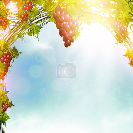 Illustration for Red grape, graphic vector illustration - Royalty Free Image