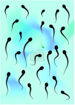 Illustration for Sperm, graphic vector illustration - Royalty Free Image
