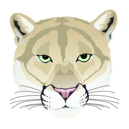 Ilustración de Puma, ilustración vectorial gráfica - Imagen libre de derechos