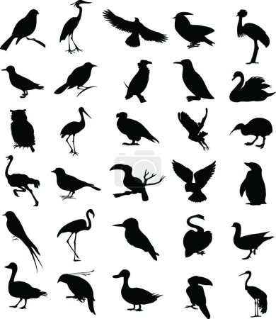 Téléchargez les illustrations : Oiseau, illustration vectorielle colorée - en licence libre de droit