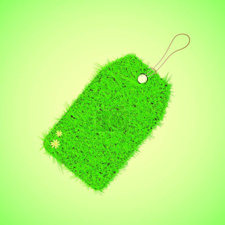 Illustration for Green grass tag for spring design - Royalty Free Image