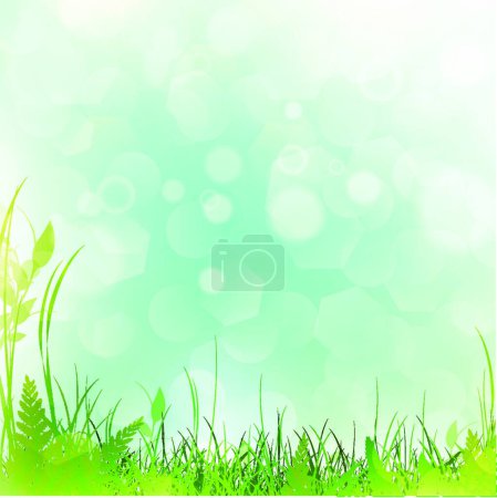 Illustration for Spring or summer meadow   vector  illustration - Royalty Free Image