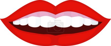 Illustration for Woman, Smile.   vector  illustration - Royalty Free Image