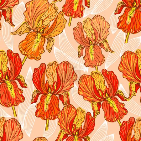 Illustration for Iris flowers  vector  illustration - Royalty Free Image