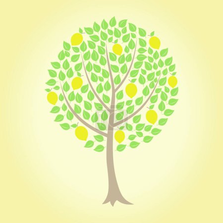 Illustration for Lemon tree vector illustration - Royalty Free Image