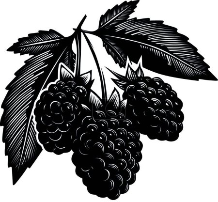 Illustration for Berries bush modern vector illustration - Royalty Free Image