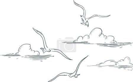 Illustration for Gulls and clouds, colorful vector illustration - Royalty Free Image